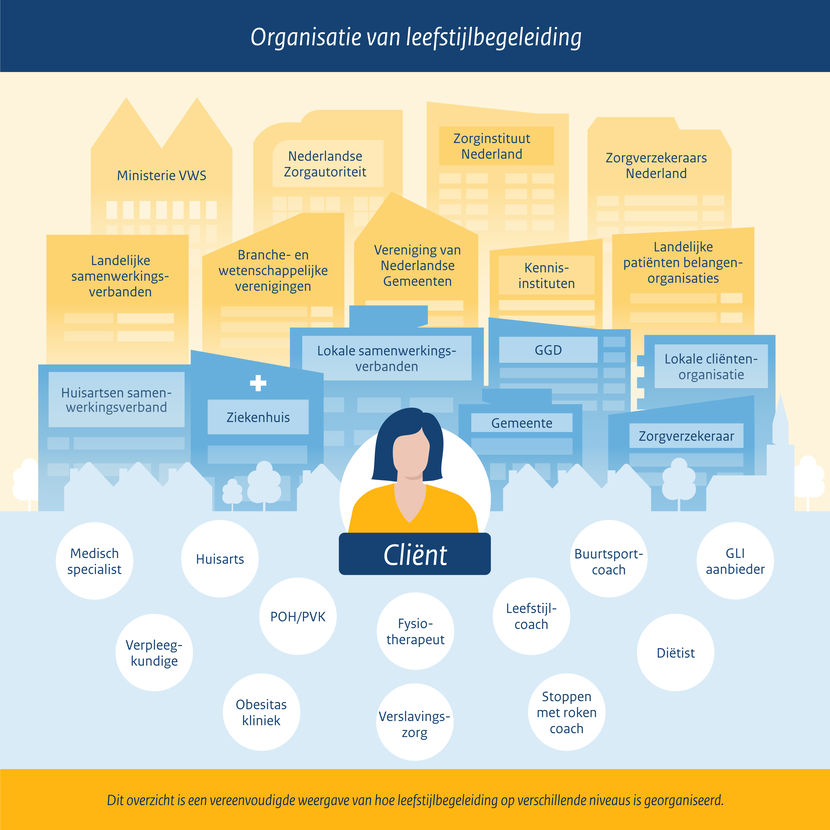 Figuur: organisatie van leefstijlbegeleiding op diverse niveaus